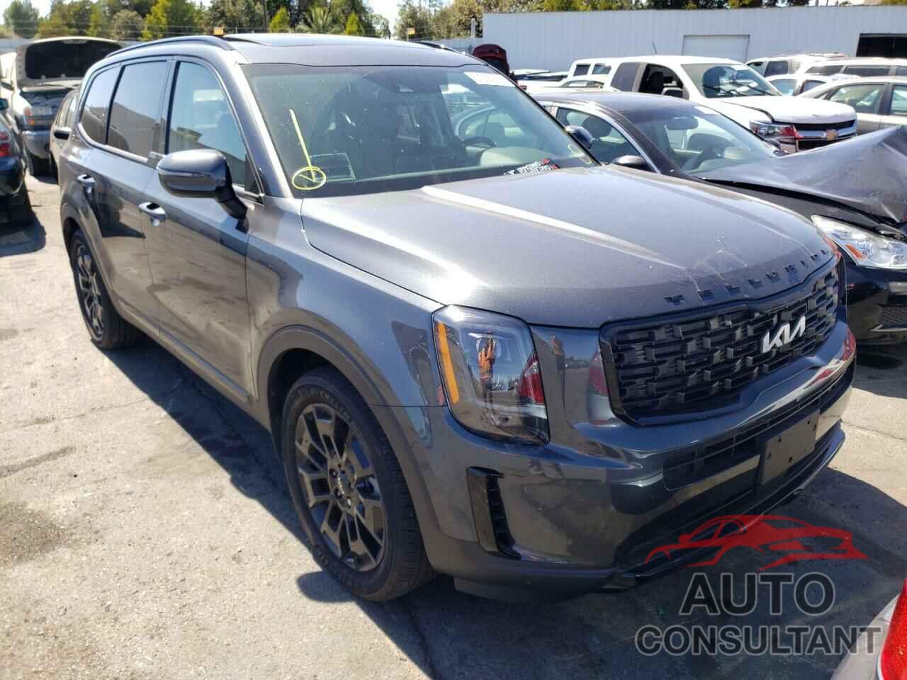 KIA TELLURIDE 2022 - 5XYP3DHC9NG248387