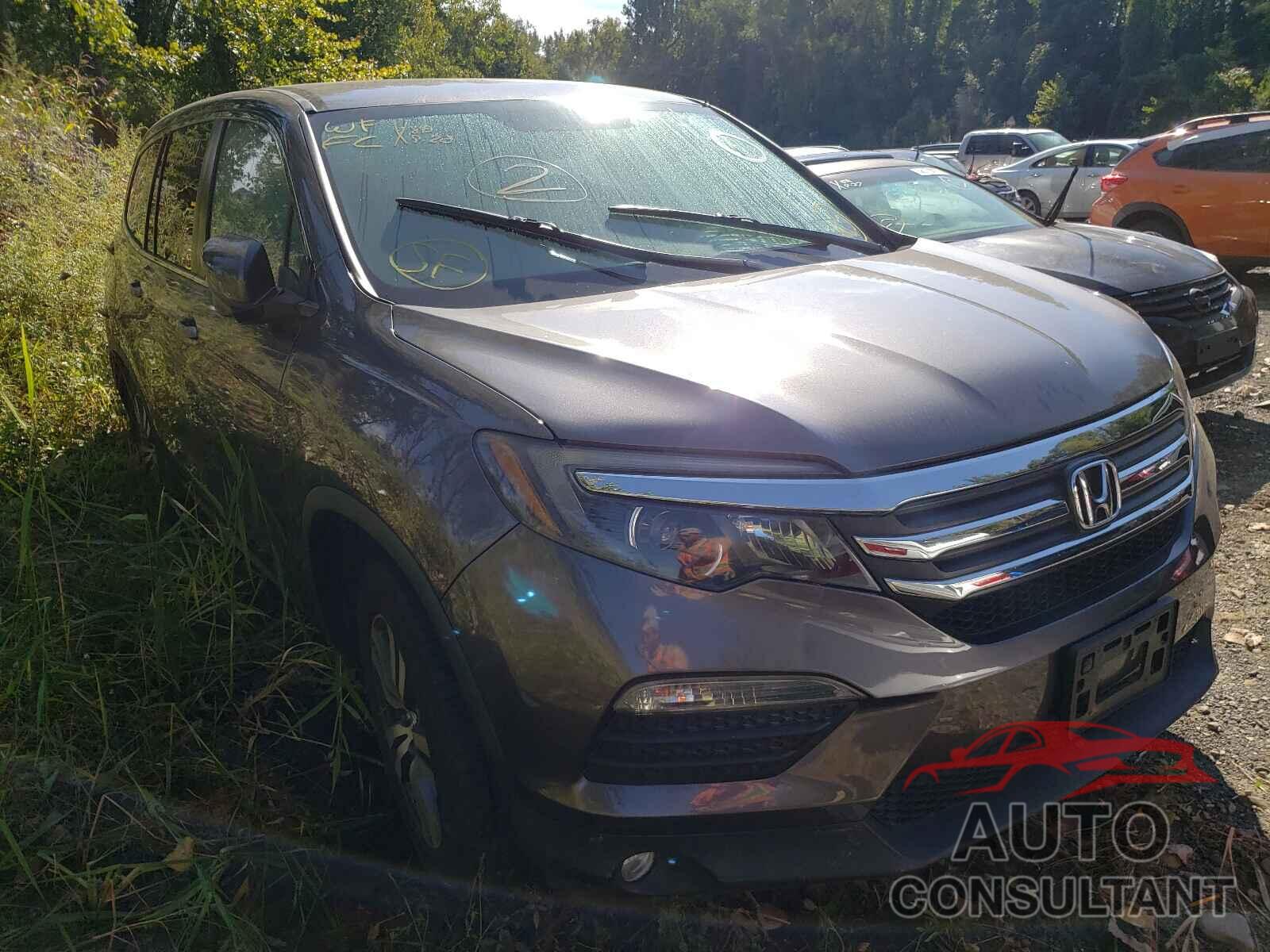 HONDA PILOT 2016 - 5FNYF6H38GB037974