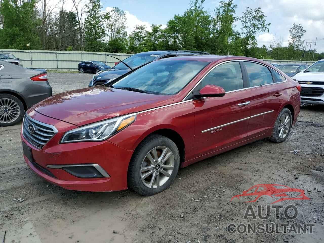 HYUNDAI SONATA 2016 - 5NPE24AF7GH394426