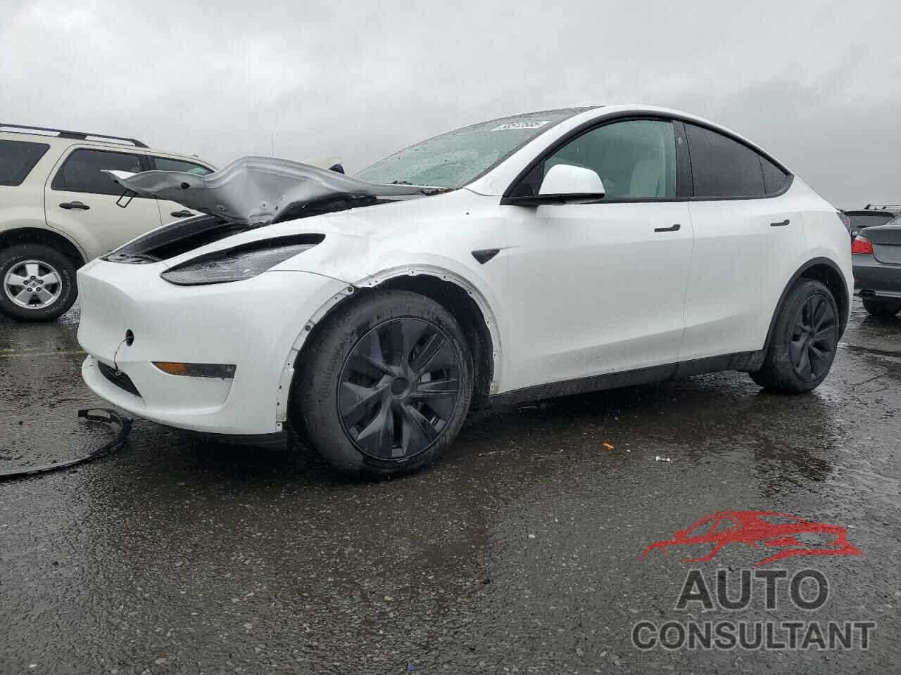TESLA MODEL Y 2024 - 7SAYGDEE6RF162372