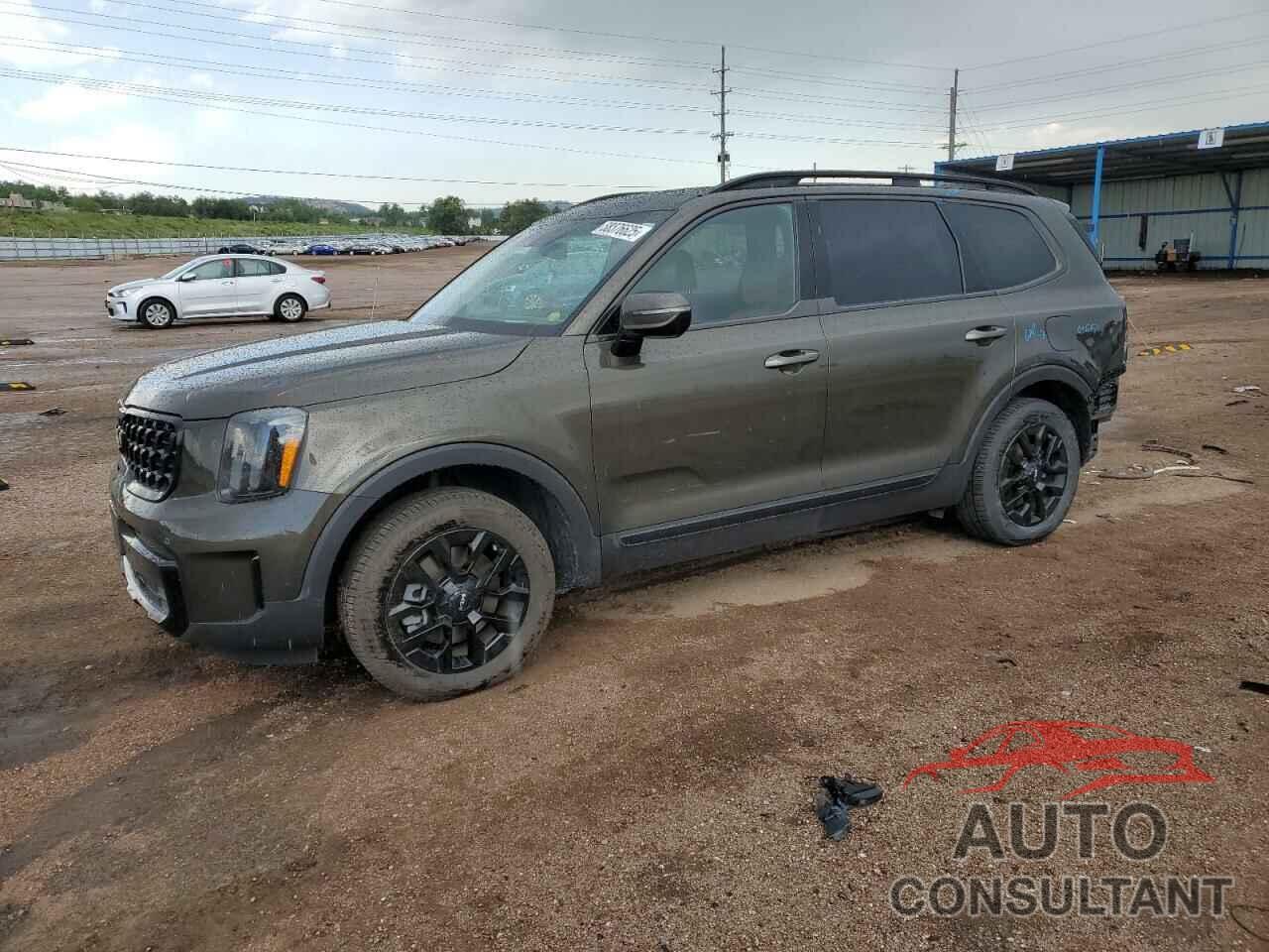 KIA TELLURIDE 2024 - 5XYP5DGC1RG466602