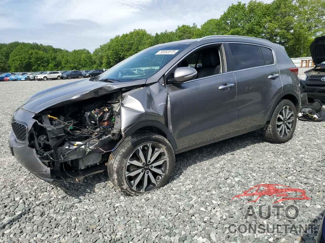 KIA SPORTAGE 2019 - KNDPNCAC7K7558867