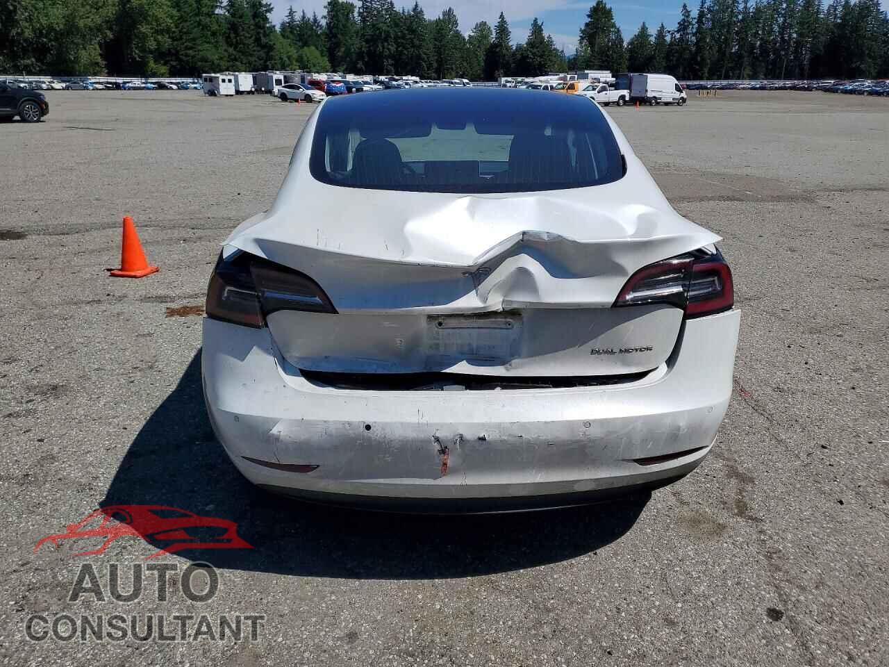 TESLA MODEL 3 2019 - 5YJ3E1EB9KF151048