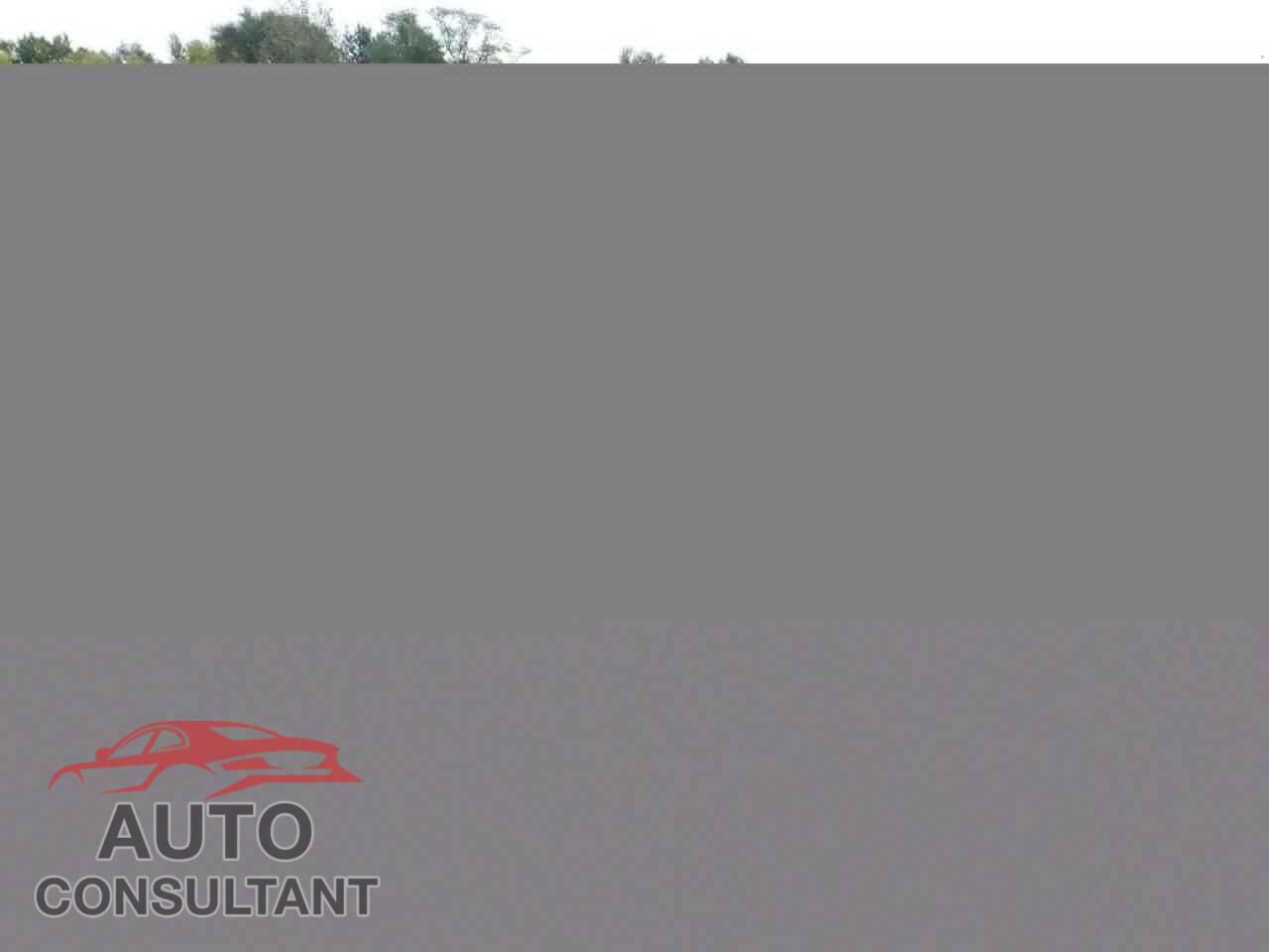 DODGE DURANGO 2019 - 1C4SDJCT8KC803472