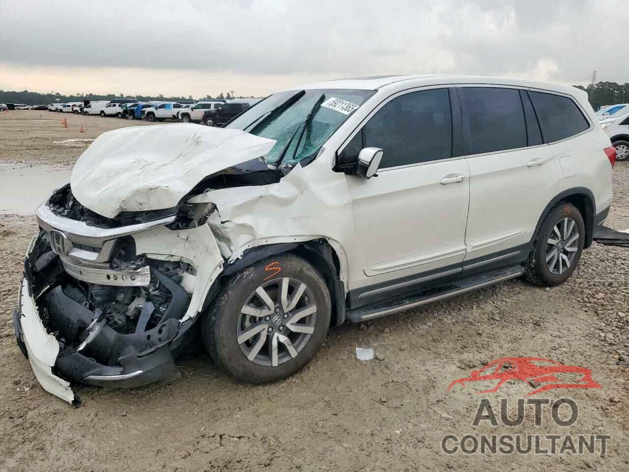 HONDA PILOT 2019 - 5FNYF5H57KB039493