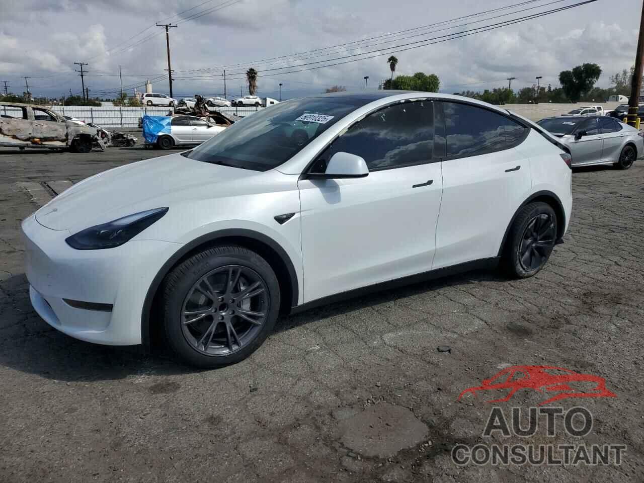 TESLA MODEL Y 2024 - 7SAYGDED5RF158952