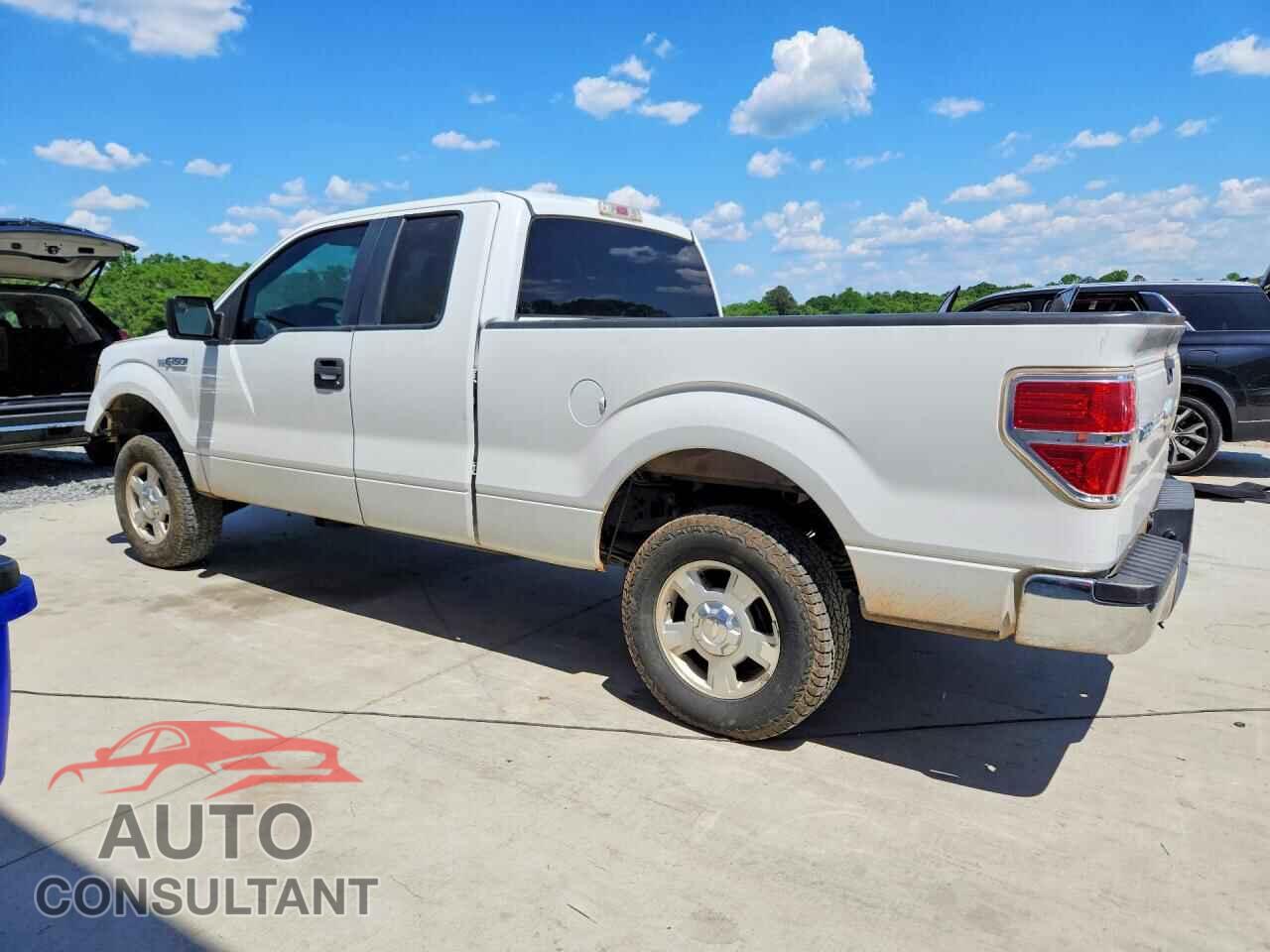 FORD F150 2012 - 1FTFX1CF4CFB56507
