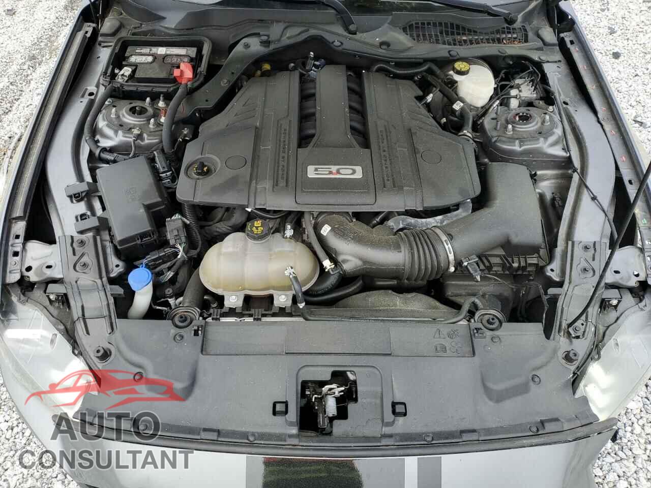 FORD MUSTANG 2021 - 1FA6P8CF5M5123683