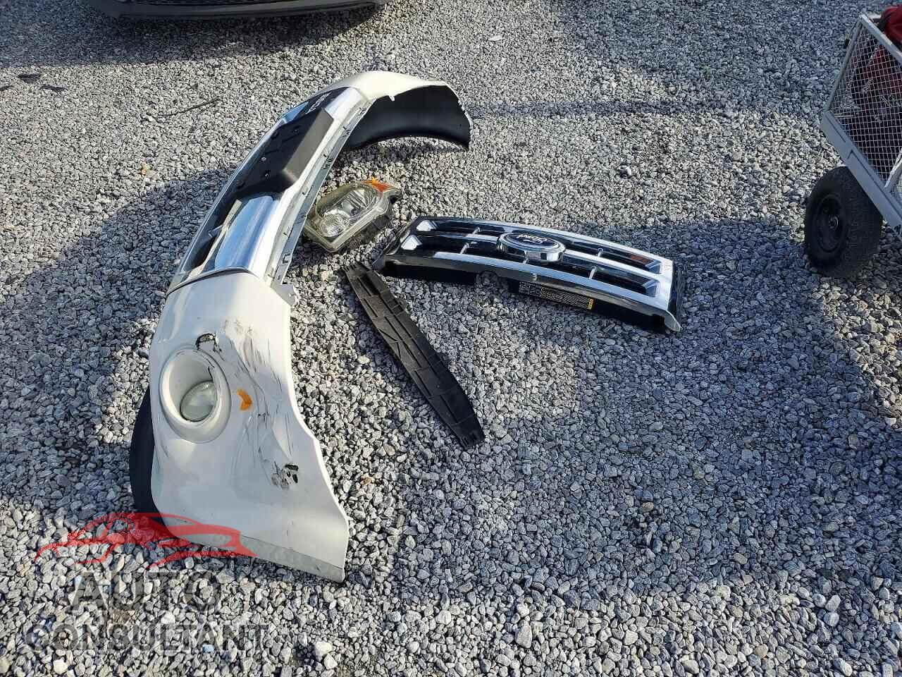 FORD ESCAPE 2012 - 1FMCU0EG2CKA71549
