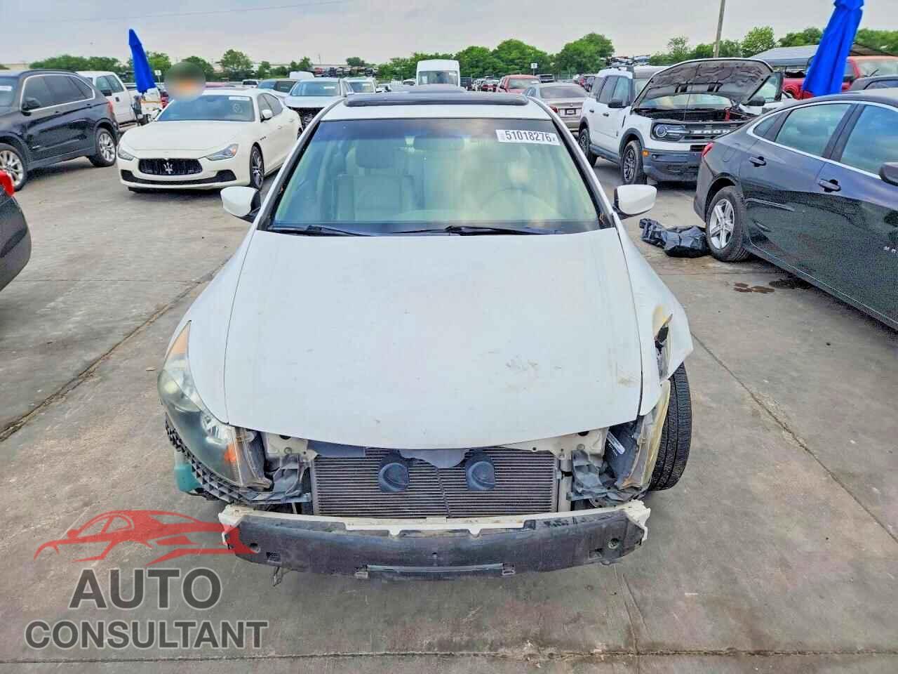 HONDA ACCORD 2010 - 1HGCP2F85AA106944