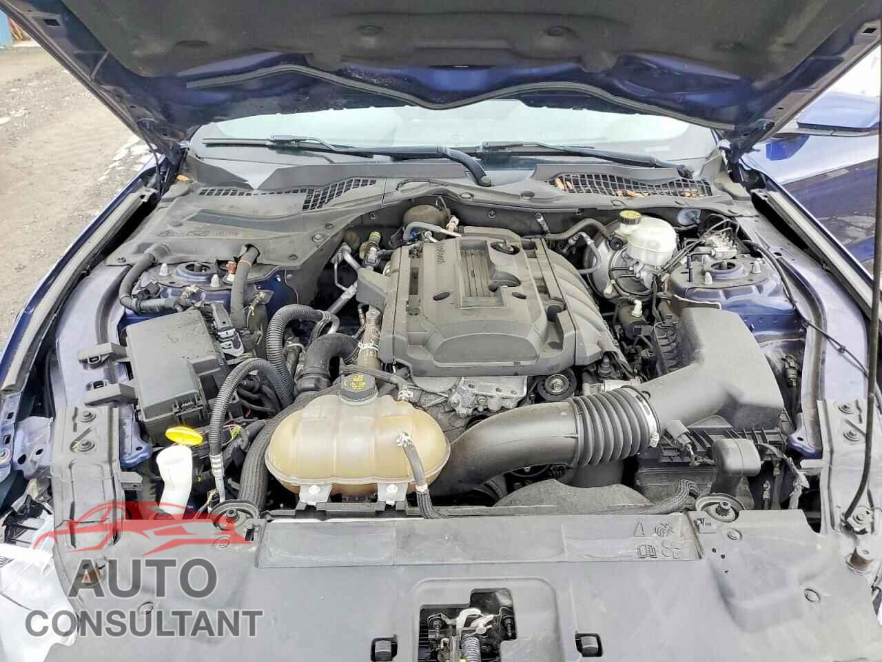 FORD MUSTANG 2019 - 1FA6P8TH0K5117465