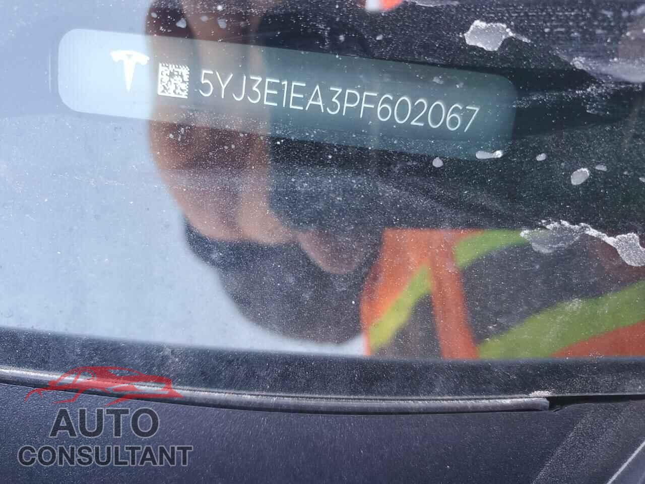 TESLA MODEL 3 2023 - 5YJ3E1EA3PF602067