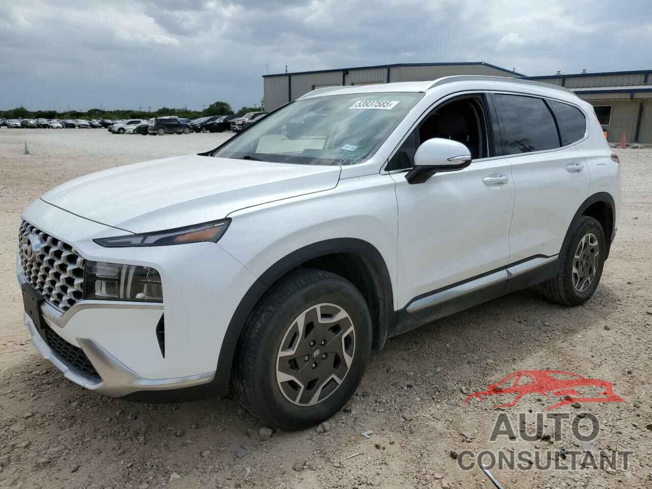 HYUNDAI SANTA FE 2022 - KM8S2DA12NU026354