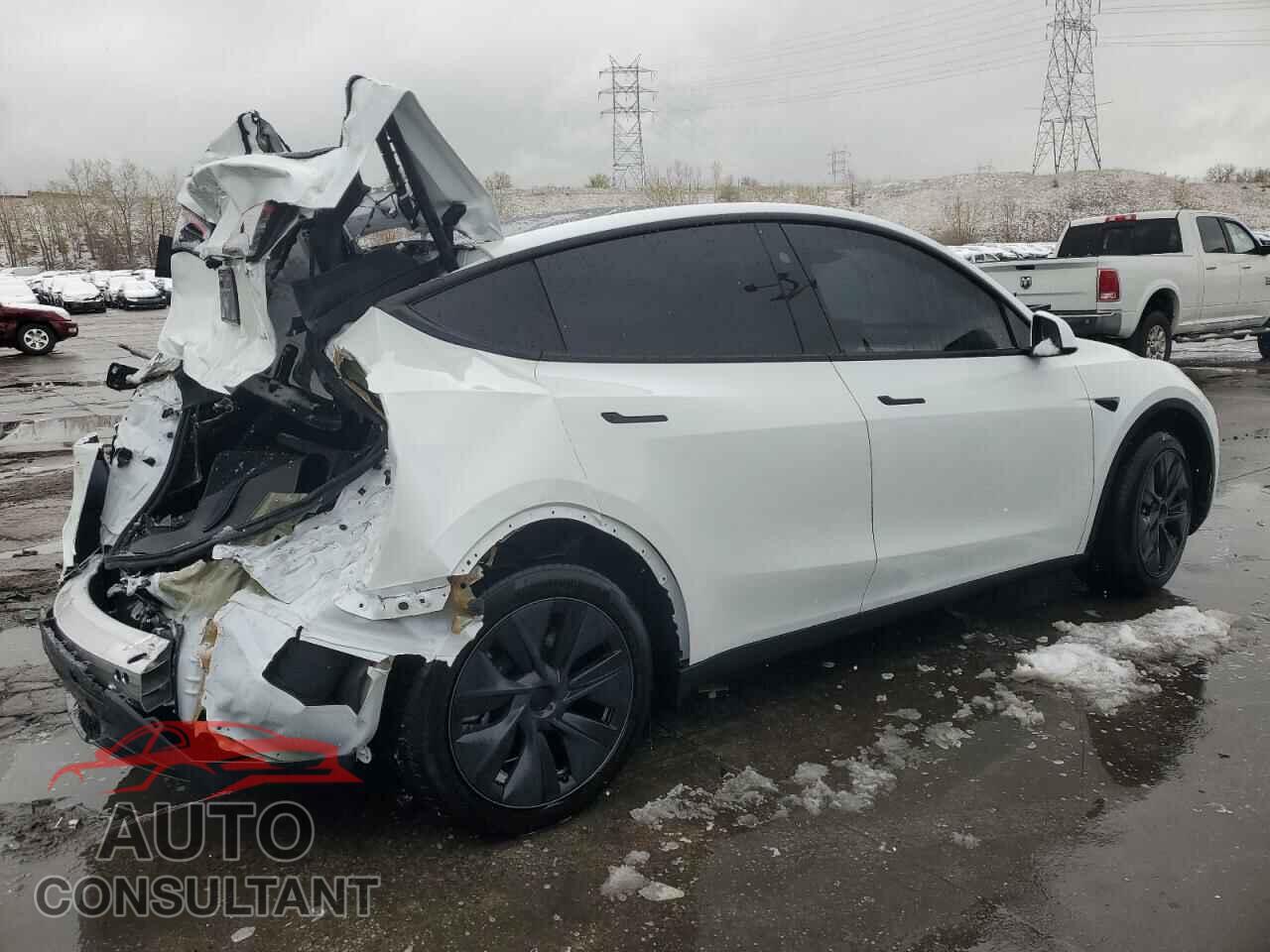 TESLA MODEL Y 2024 - 7SAYGDEE2RF160327