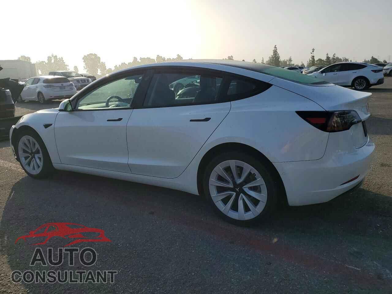 TESLA MODEL 3 2021 - 5YJ3E1EA3MF061467