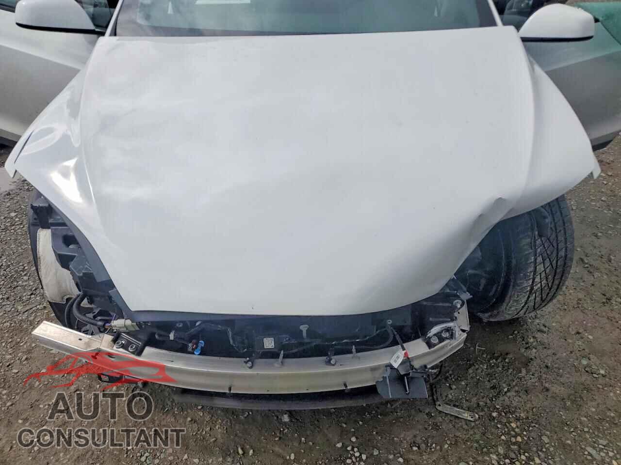 TESLA MODEL X 2024 - 7SAXCBE62RF453942