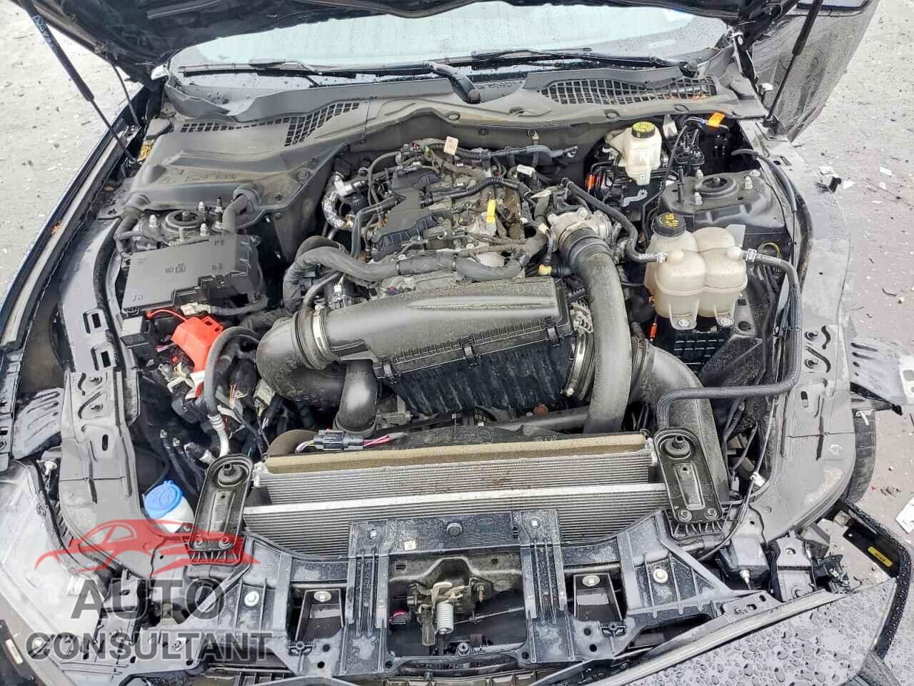 FORD UNKNOWN 2024 - 1FA6P8TH7R5122320