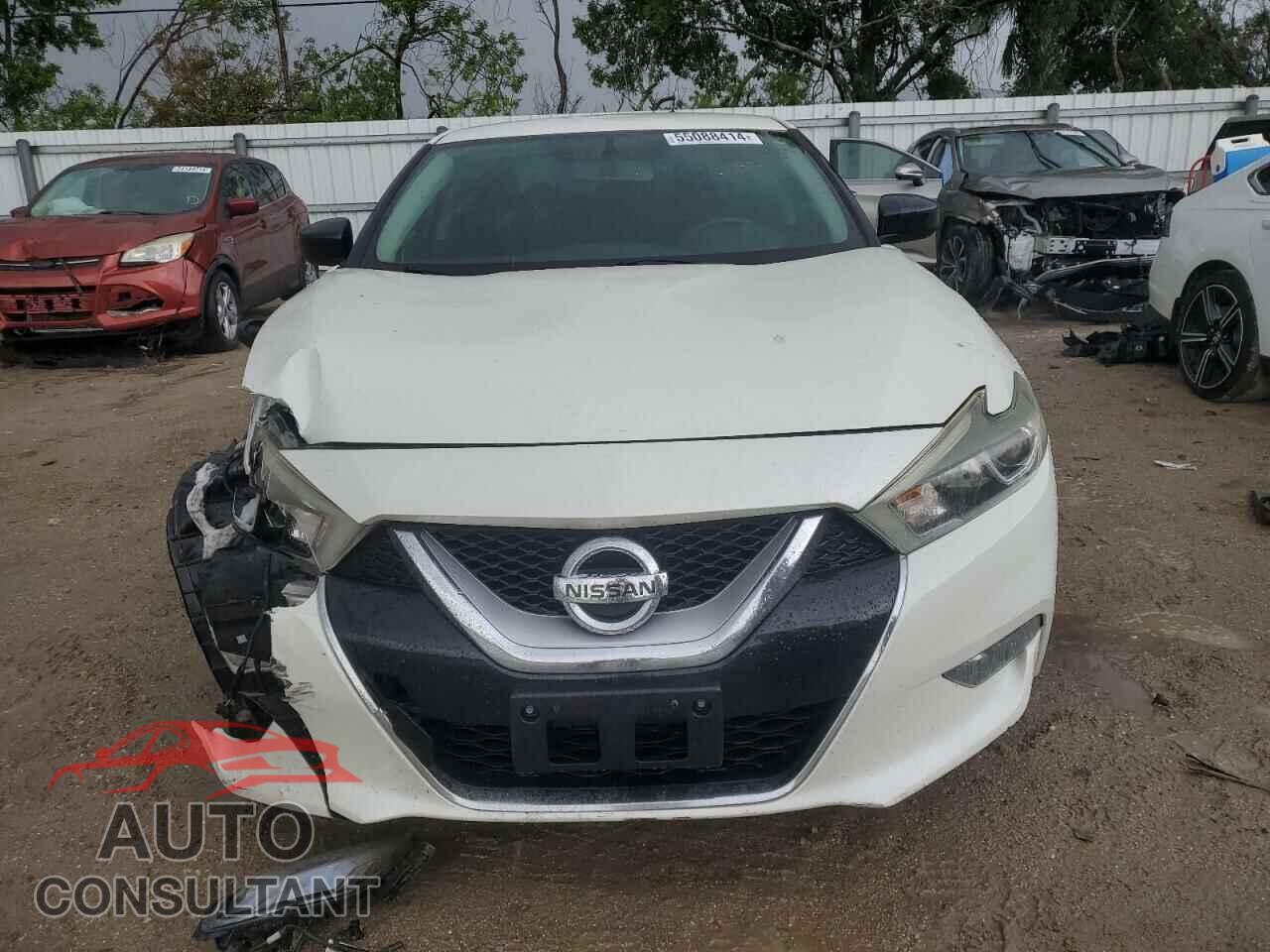 NISSAN MAXIMA 2017 - 1N4AA6AP5HC425889