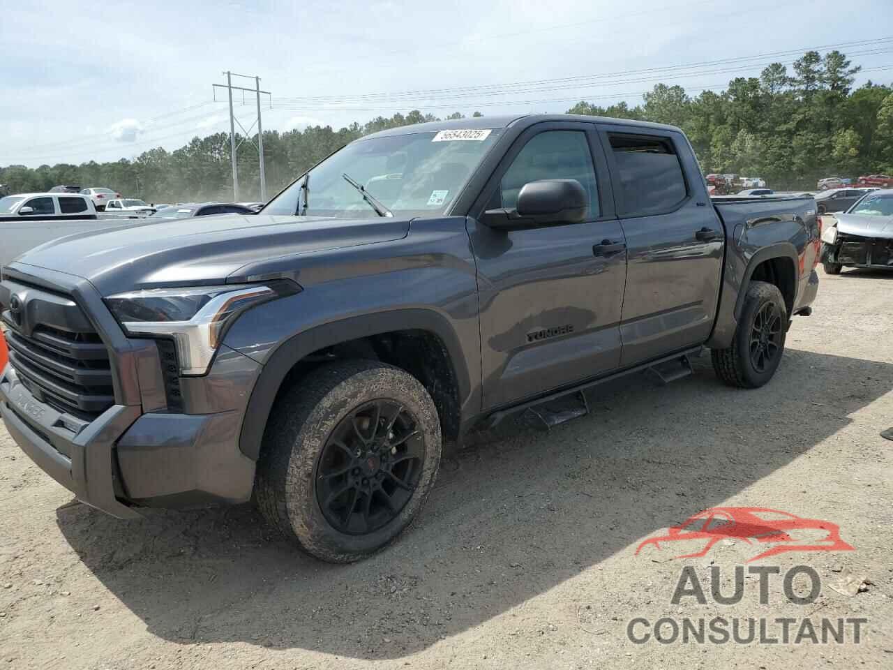 TOYOTA TUNDRA 2024 - 5TFLA5DB0RX151993