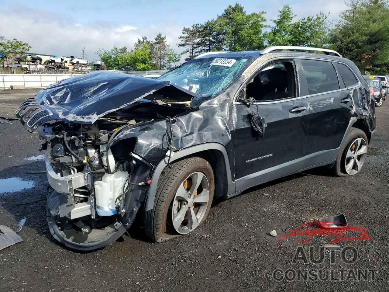 JEEP GRAND CHER 2019 - 1C4PJMDX8KD252908