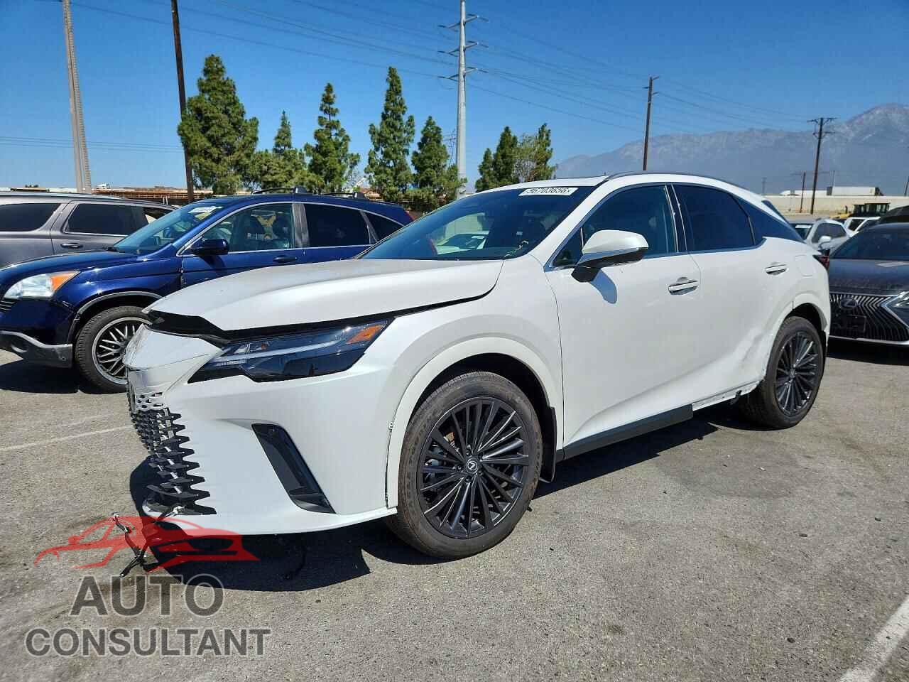 LEXUS UNKNOWN 2025 - 2T2BBMCA4SC073617
