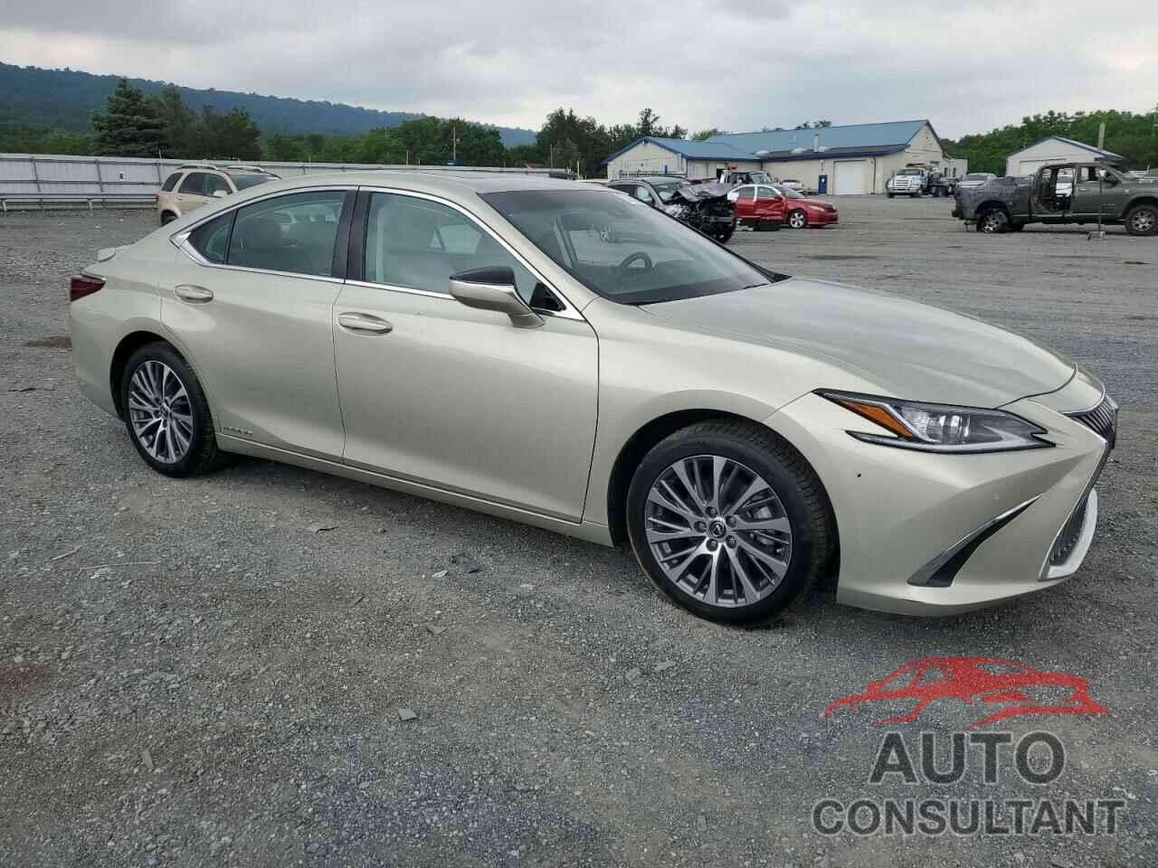 LEXUS ES300 2020 - 58AD21B12LU007265