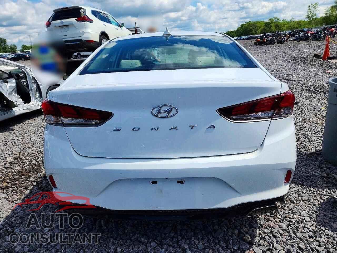 HYUNDAI SONATA 2019 - 5NPE24AF5KH817335