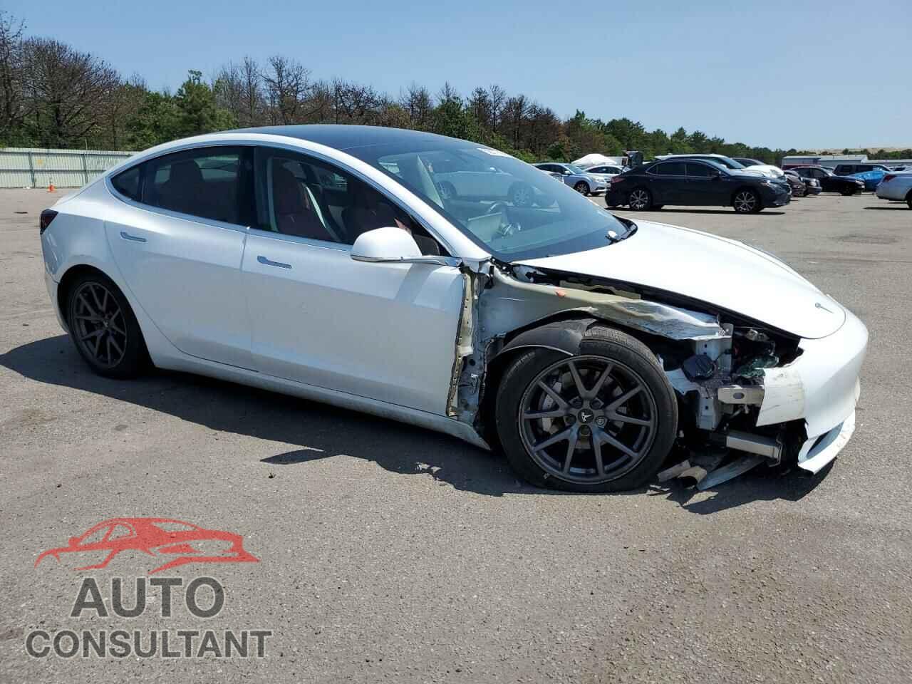 TESLA MODEL 3 2019 - 5YJ3E1EB1KF391243