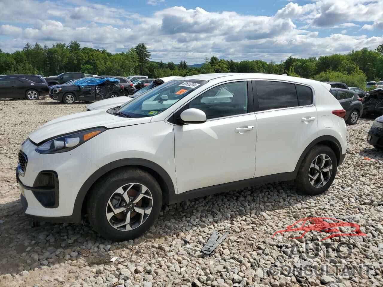 KIA SPORTAGE 2021 - KNDPM3AC5M7893115