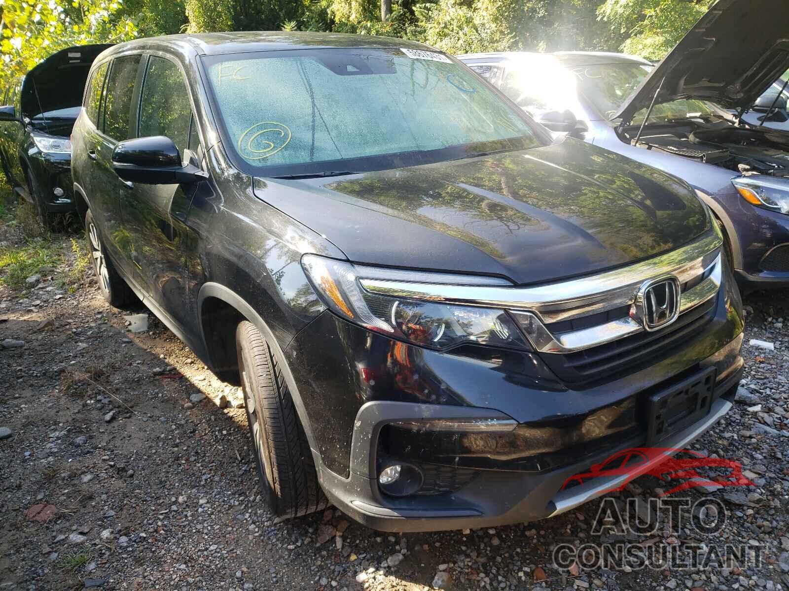 HONDA PILOT 2019 - 5FNYF6H51KB092888