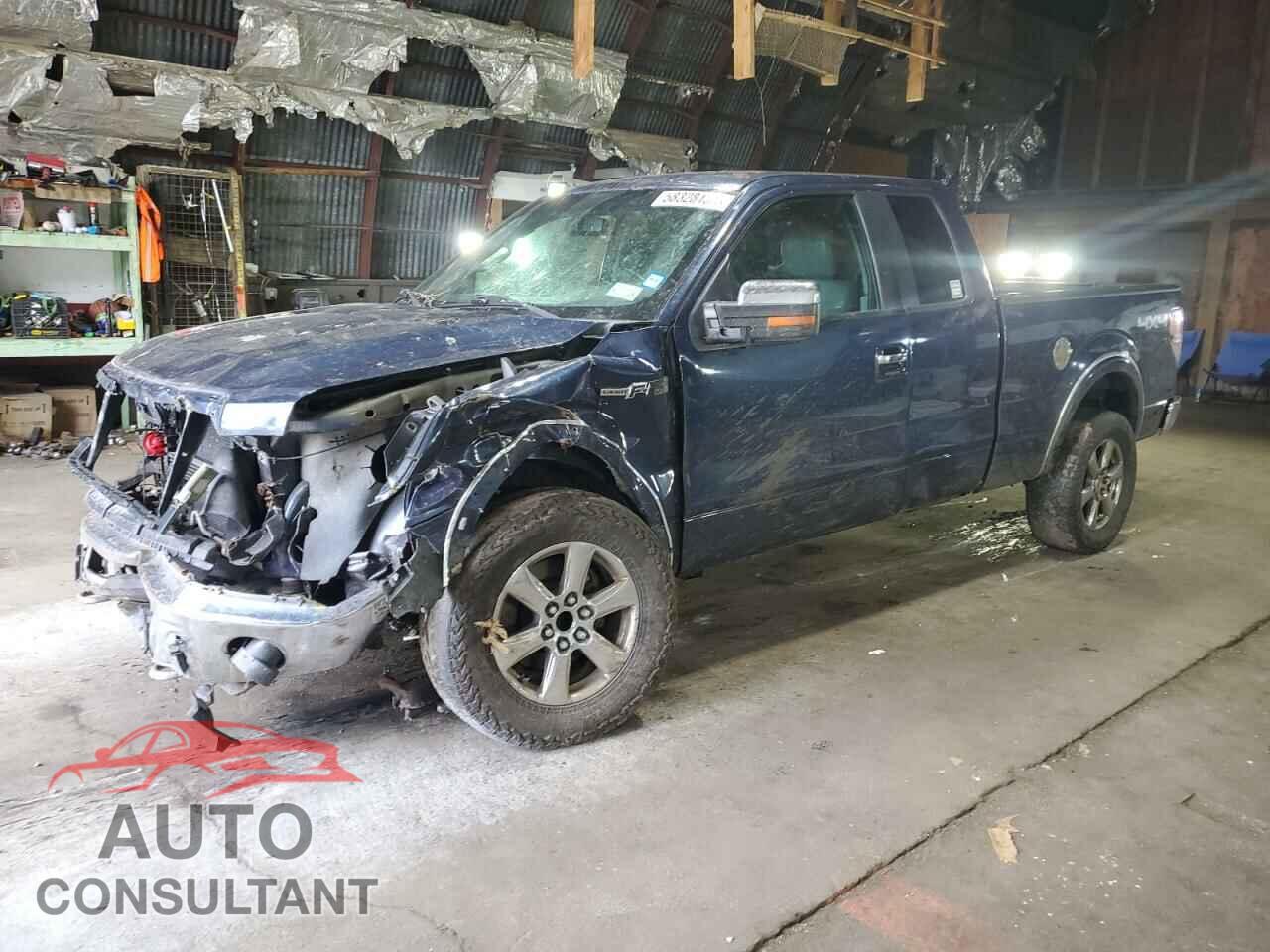 FORD F-150 2013 - 1FTFX1EF2DFC68365