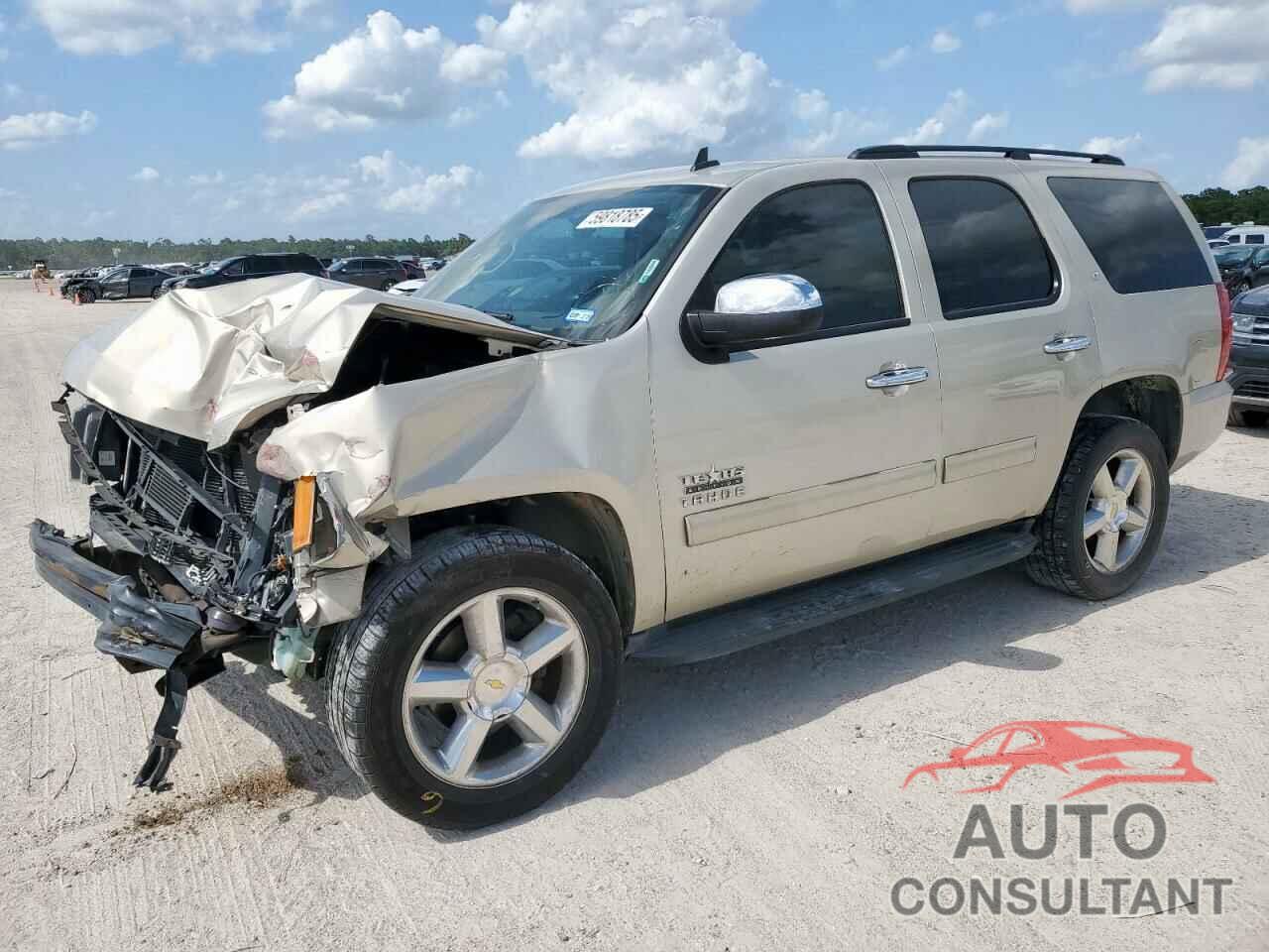 CHEVROLET TAHOE 2011 - 1GNSCBE02BR185601