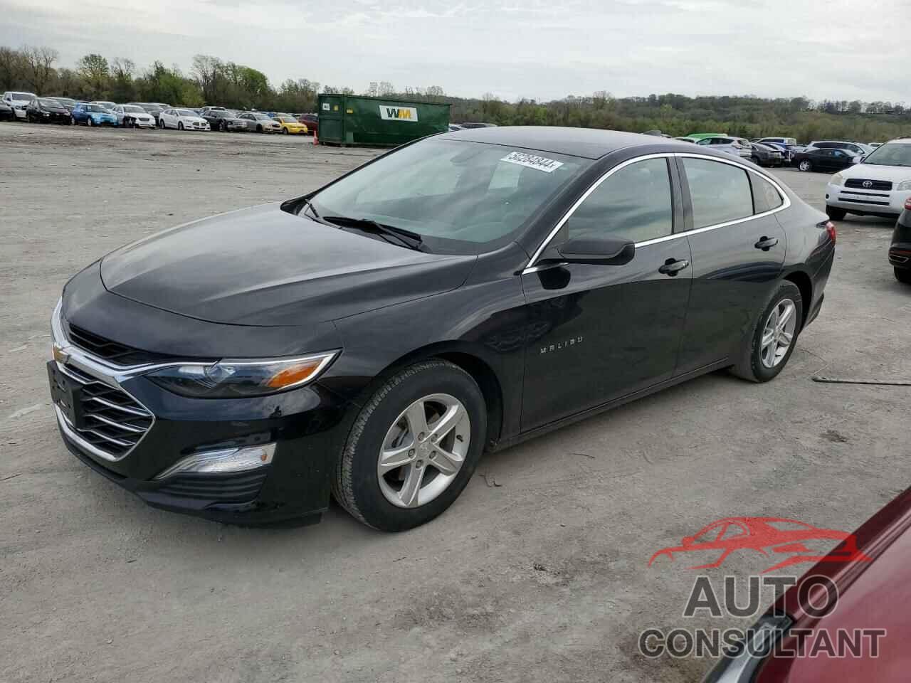 CHEVROLET MALIBU 2019 - 1G1ZB5ST9KF221367