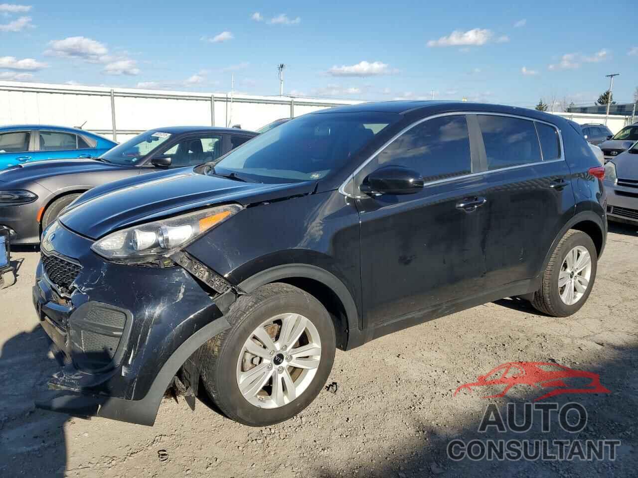 KIA SPORTAGE 2017 - KNDPM3AC2H7042816