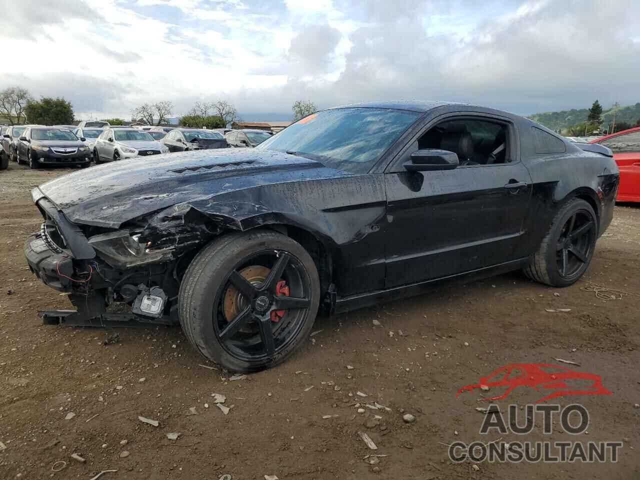FORD MUSTANG 2013 - 1ZVBP8CF9D5284530