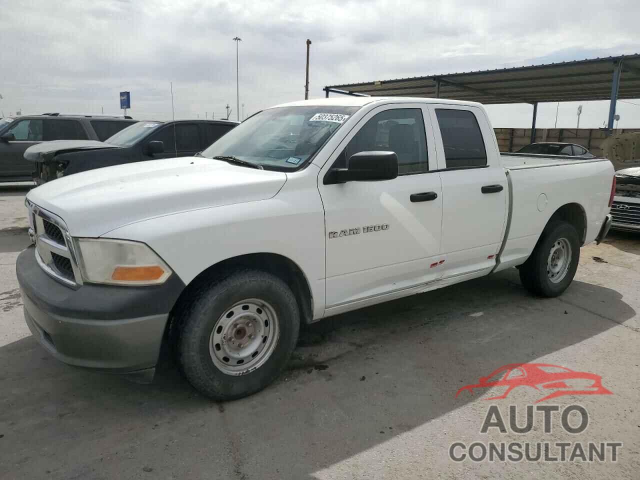 DODGE All Models 2011 - 1D7RB1GK0BS576960