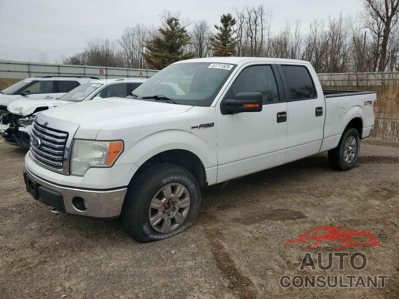 FORD F-150 2010 - 1FTFW1E87AFB58234