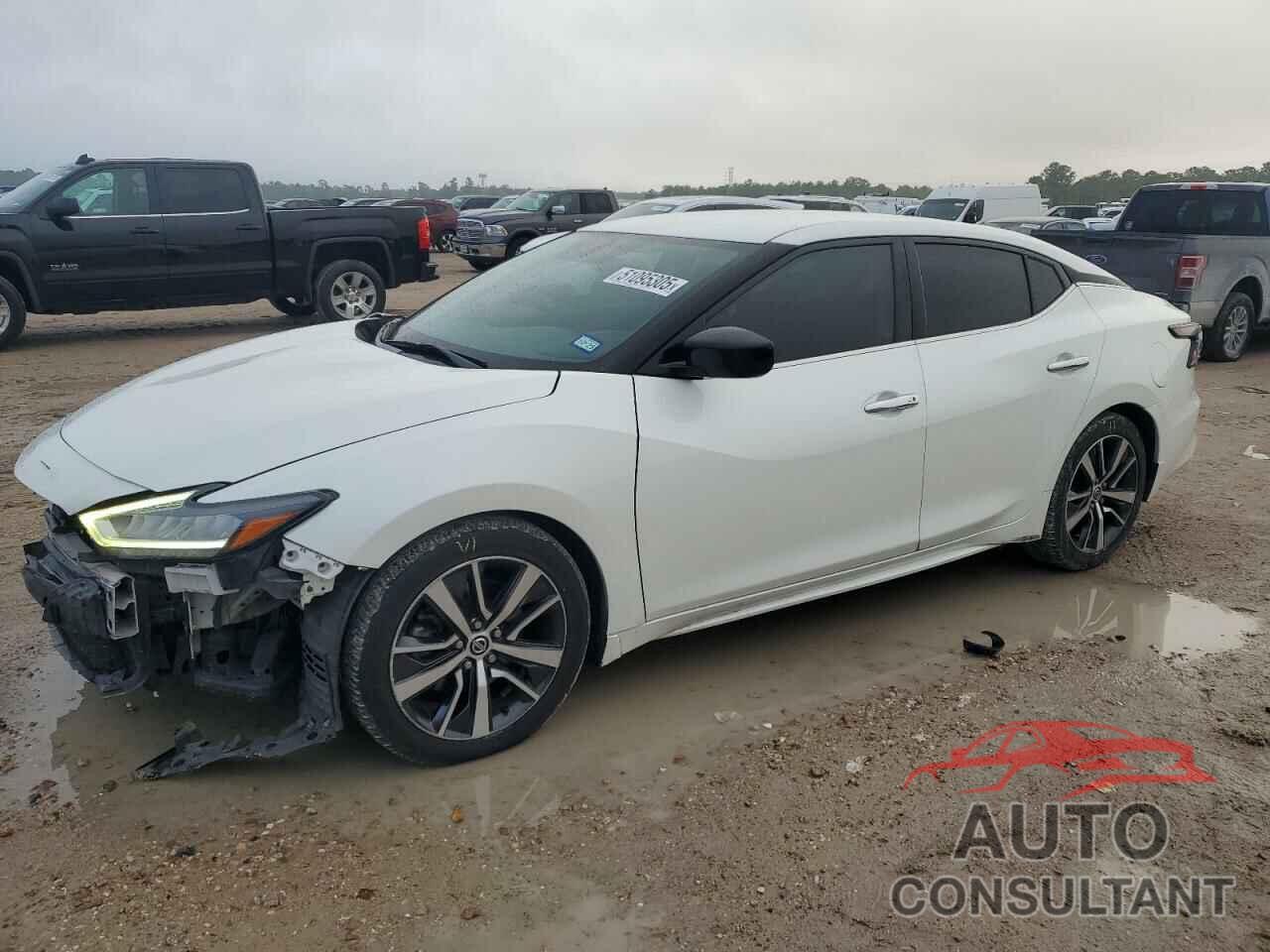 NISSAN MAXIMA 2019 - 1N4AA6AV6KC378197