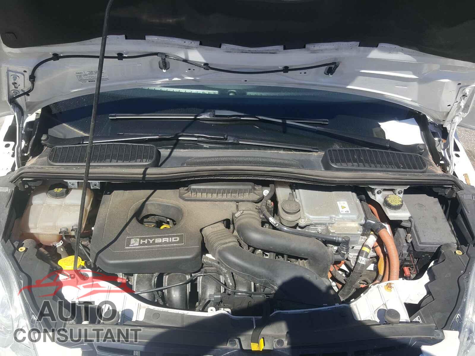 FORD CMAX 2016 - 1FADP5BU3GL110517