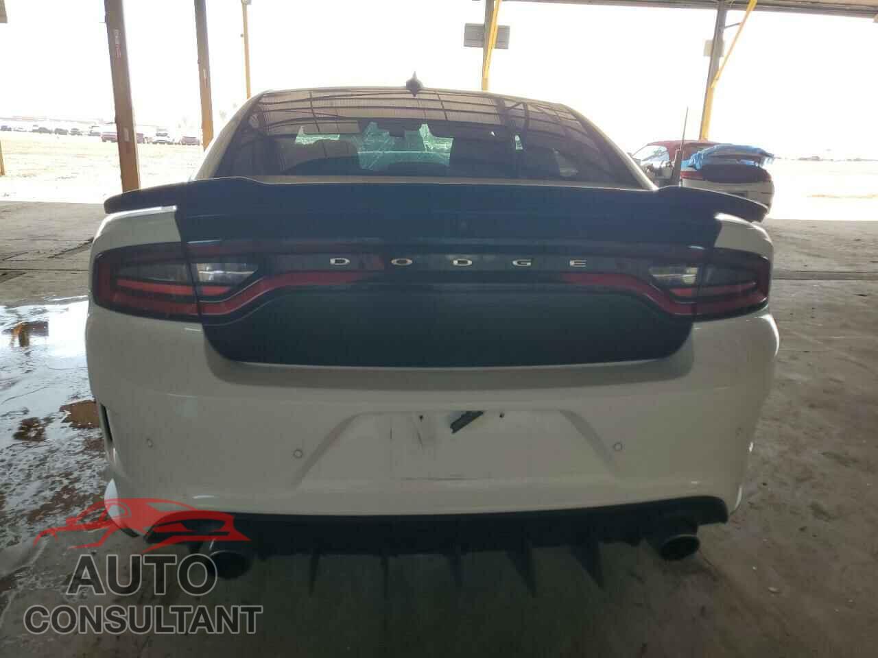 DODGE CHARGER 2019 - 2C3CDXCTXKH700353