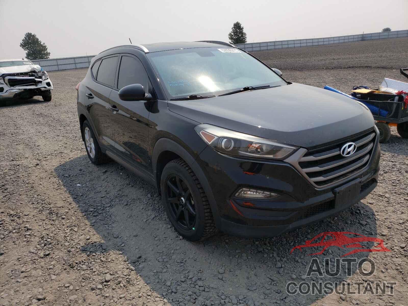 HYUNDAI TUCSON 2016 - KM8J33A42GU237585