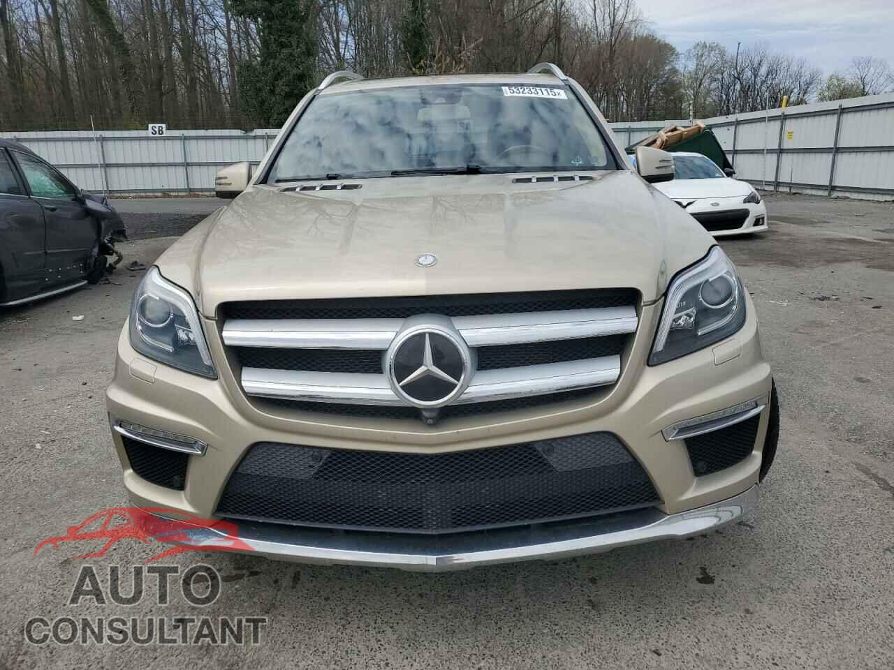 MERCEDES-BENZ GL-CLASS 2013 - 4JGDF7DE5DA244124