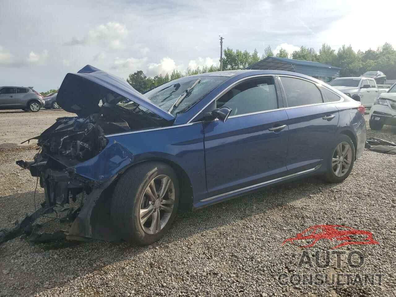 HYUNDAI SONATA 2019 - 5NPE34AF5KH731360