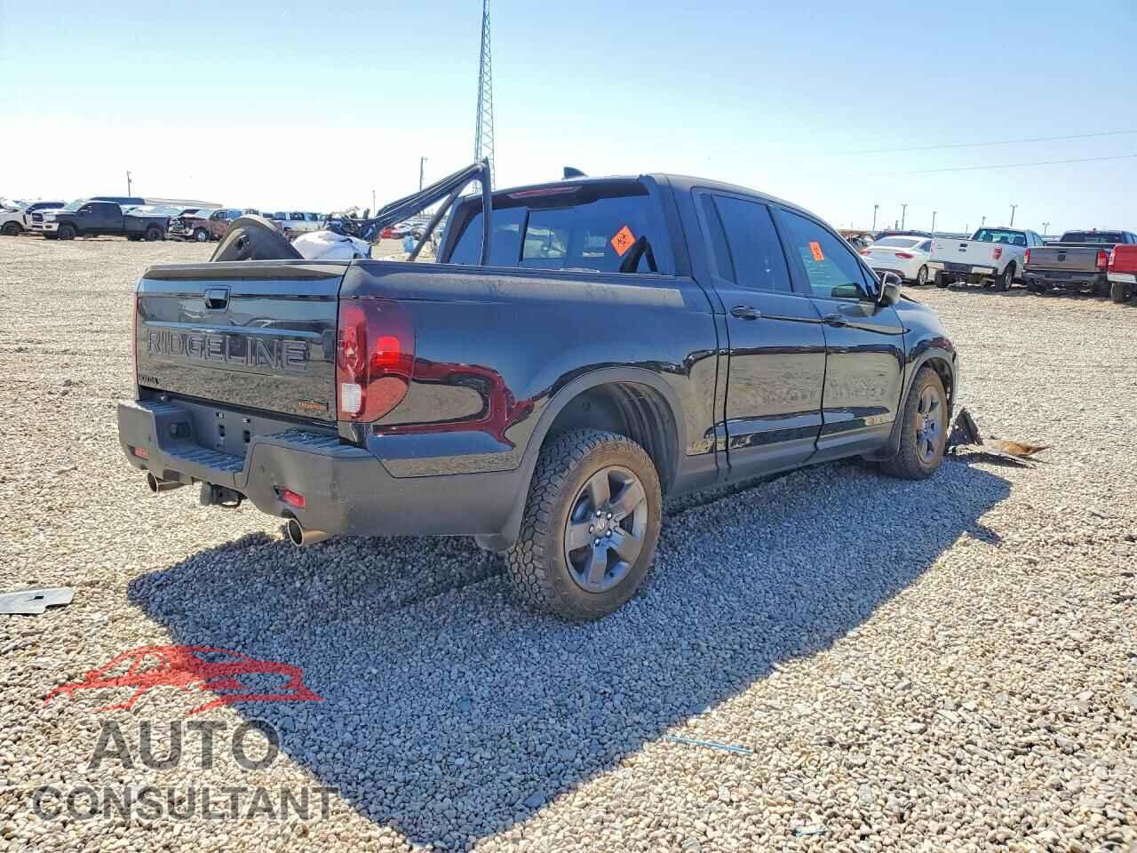 HONDA RIDGELINE 2024 - 5FPYK3F62RB021447