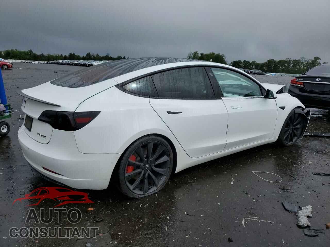 TESLA MODEL 3 2019 - 5YJ3E1EB7KF423192