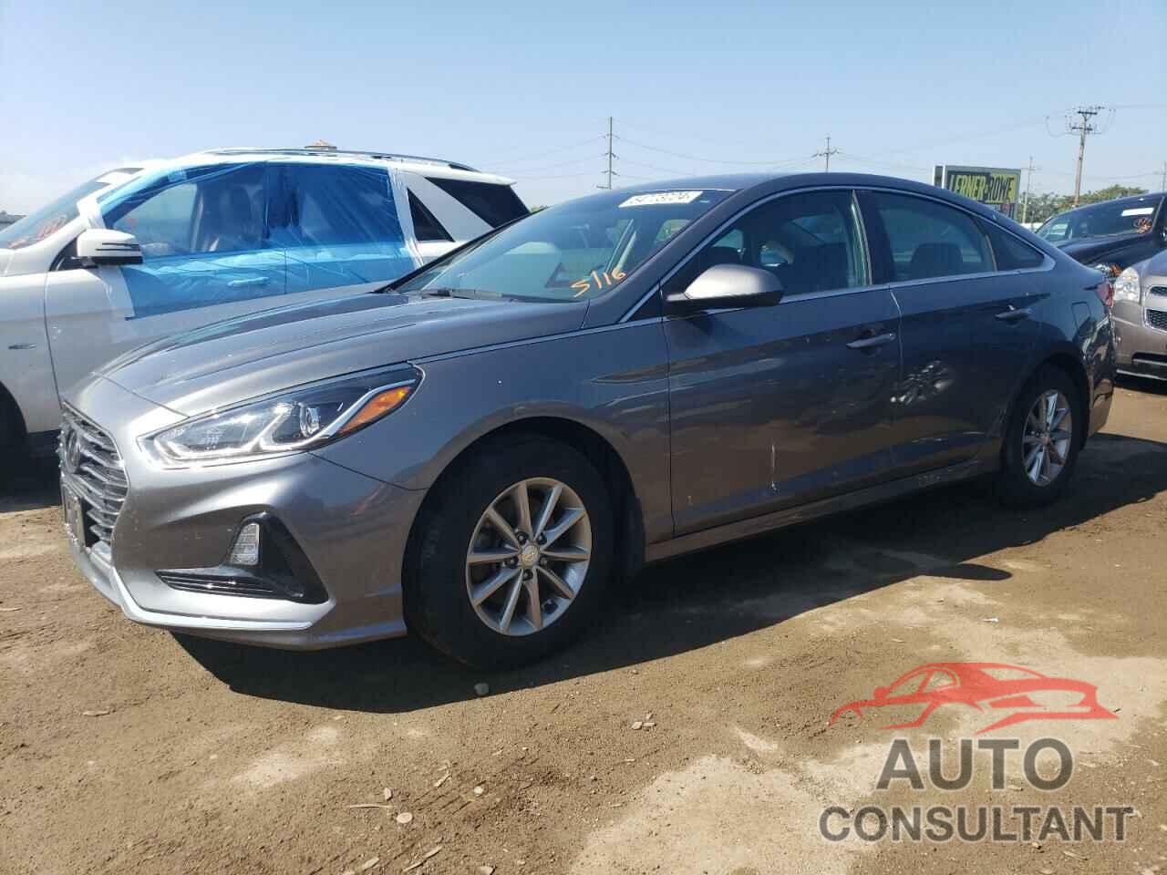 HYUNDAI SONATA 2019 - 5NPE24AF3KH741839