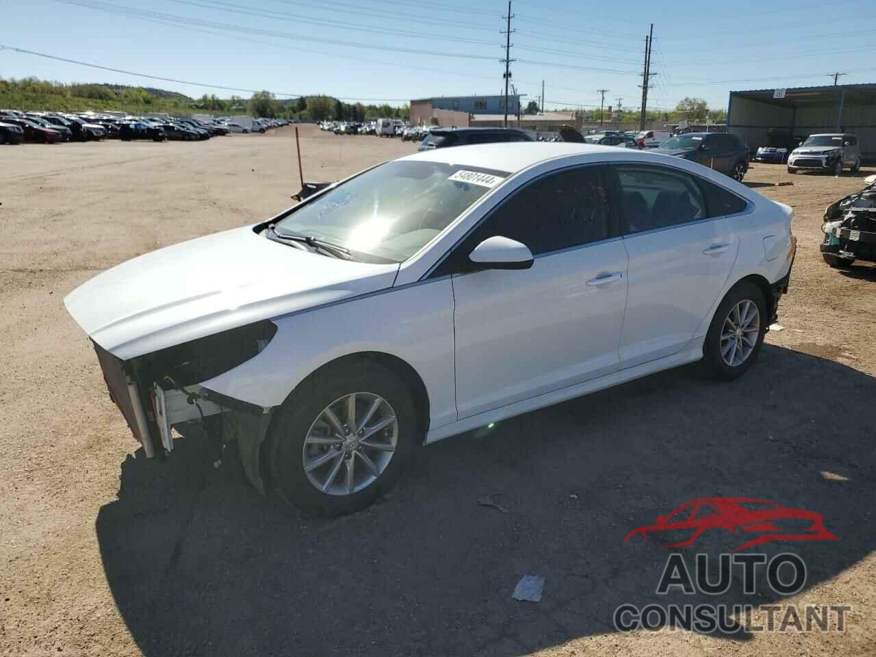 HYUNDAI SONATA 2019 - 5NPE24AFXKH814012