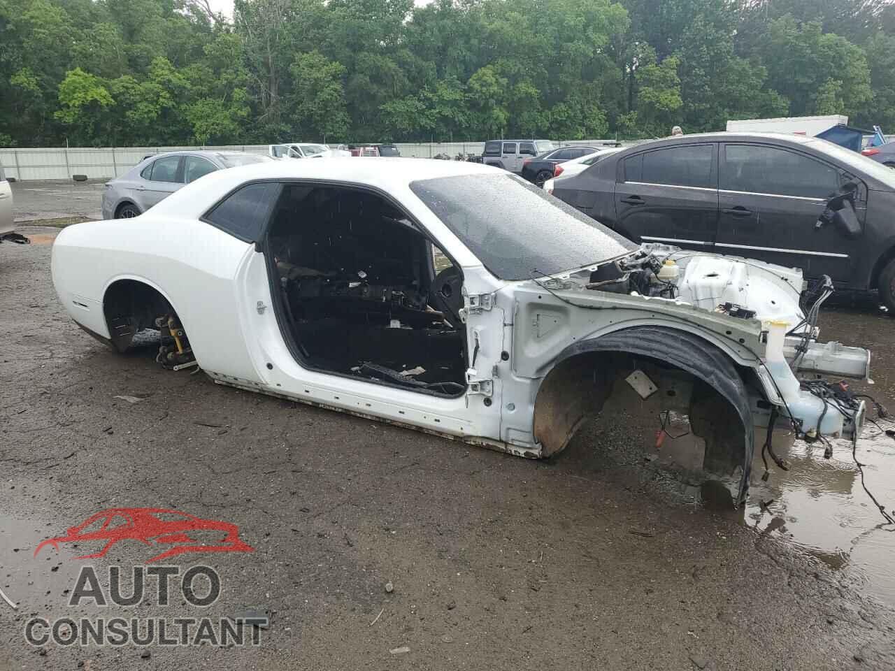 DODGE CHALLENGER 2019 - 2C3CDZFJXKH723833