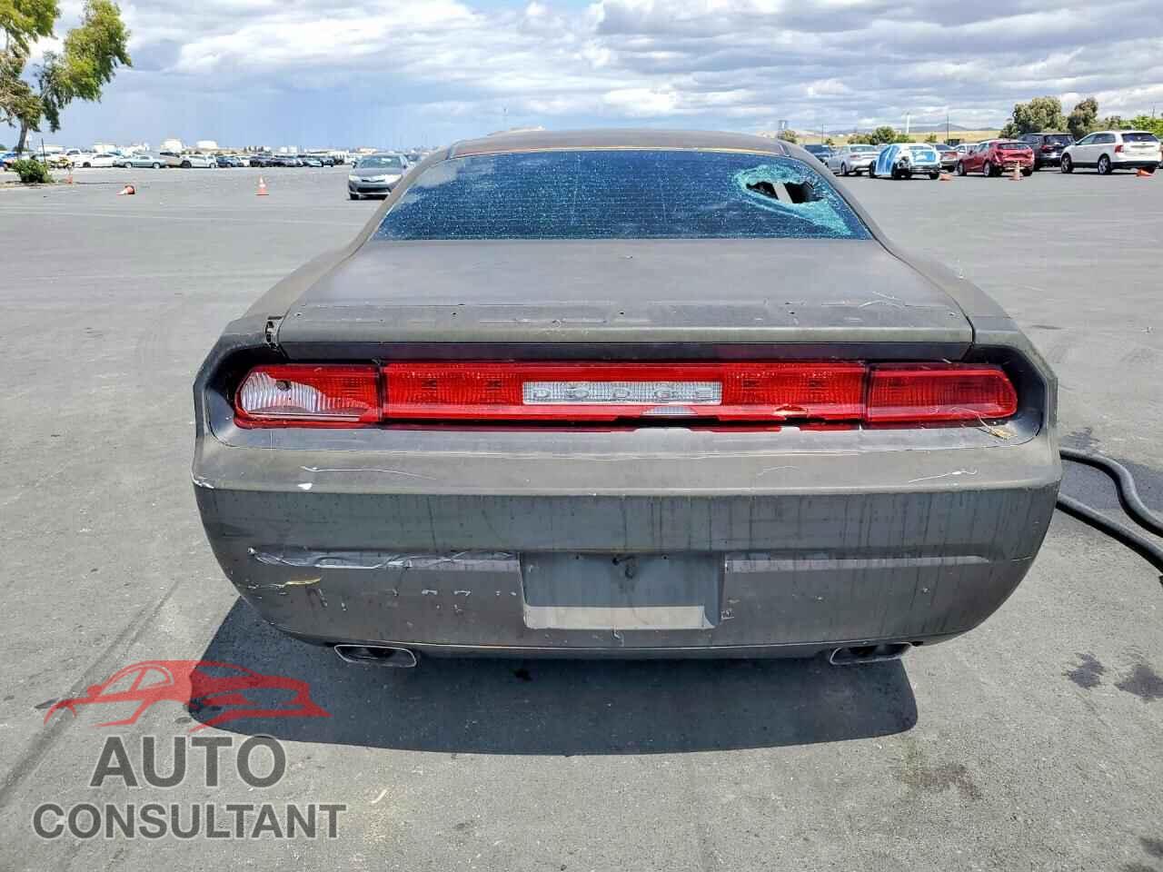 DODGE CHALLENGER 2010 - 2B3CJ5DT8AH300606