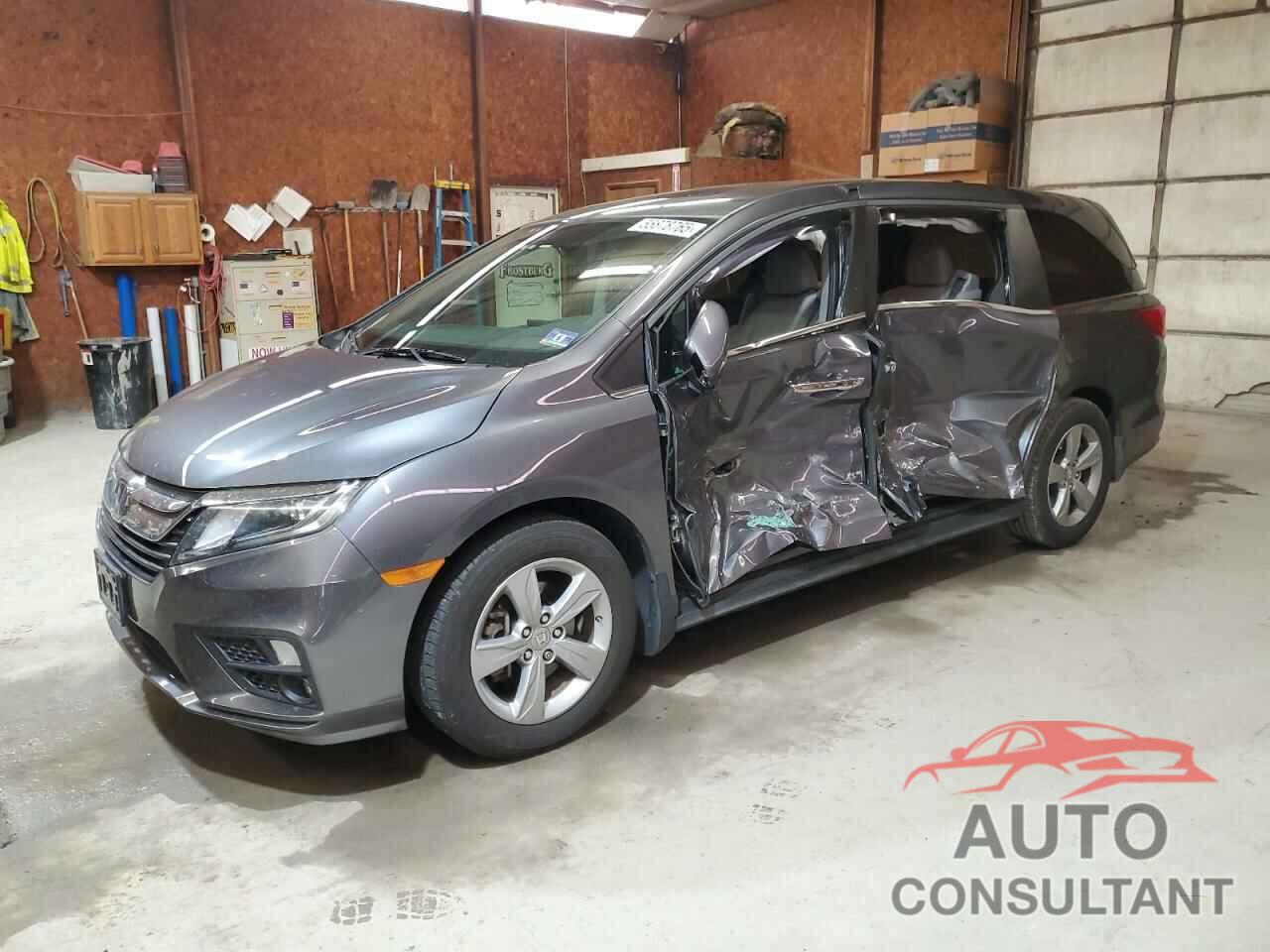 HONDA All Models 2019 - 5FNRL6H77KB110163